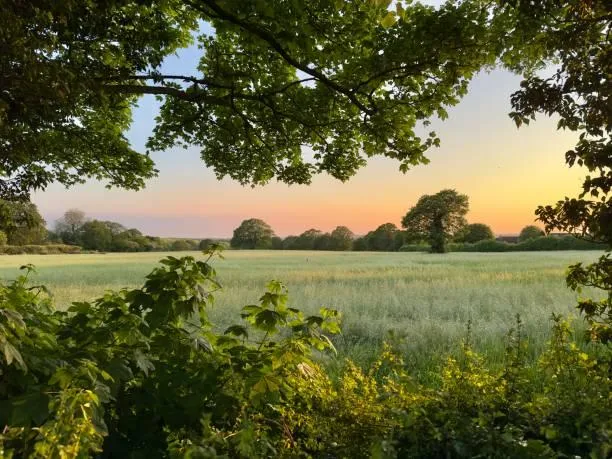 Moments of Calm: Natural Scenes in Focus, calm nature, natural scenes, nature, landscape, peaceful landscapes, soft views