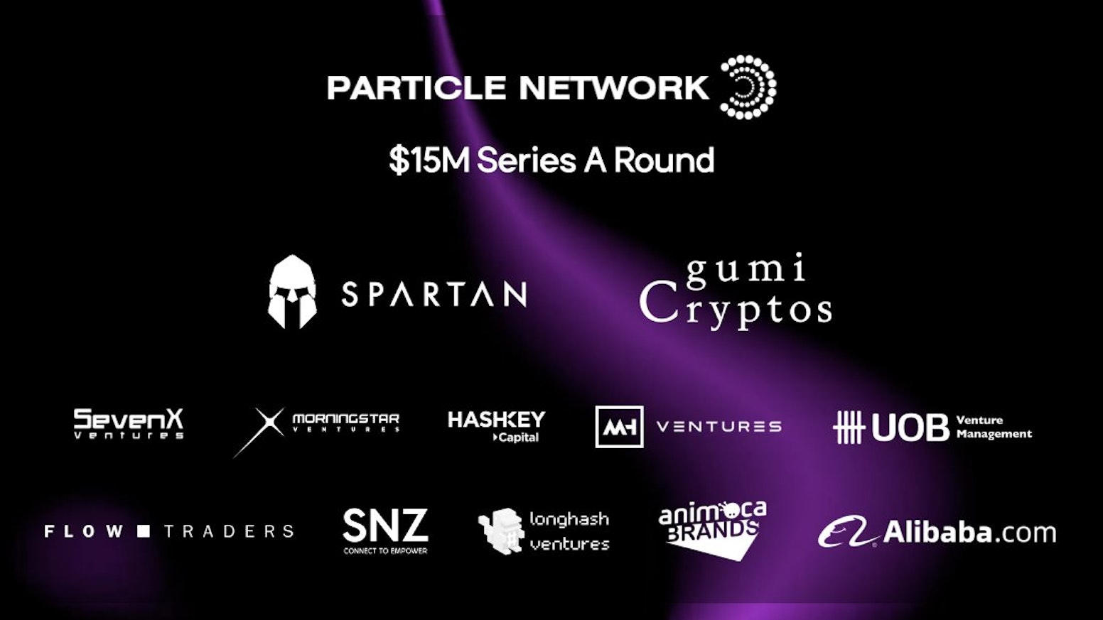 Project Review - Particle Network