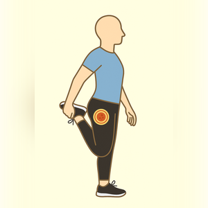 Gonalgies - L'étirement du quadriceps