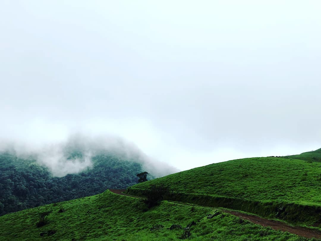 kodachadri trek