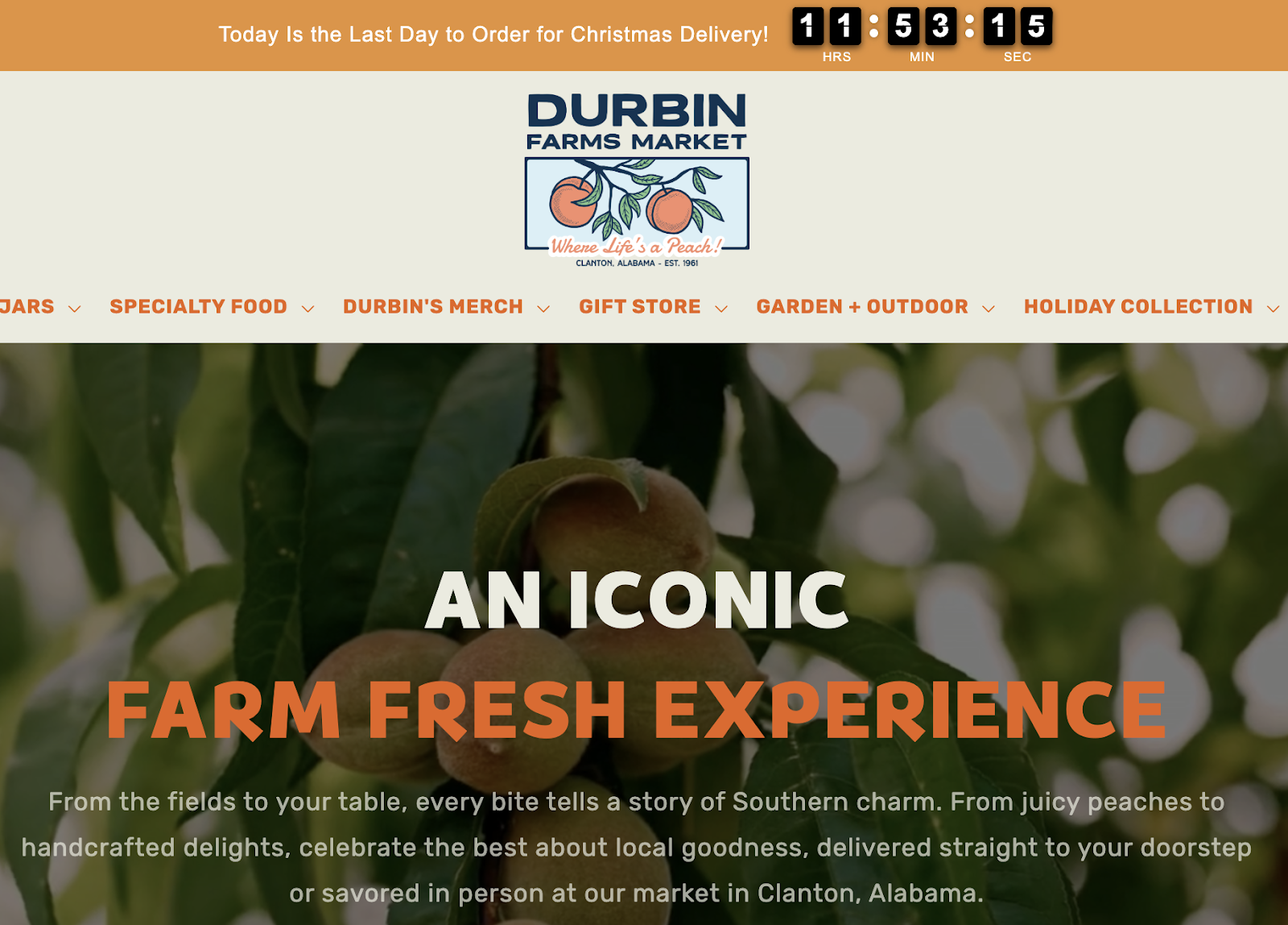 An example of a Shopify store using the Zotabox Promo Bar countdown timer to promote limited-time offers, boosting conversions during a holiday sales campaign.