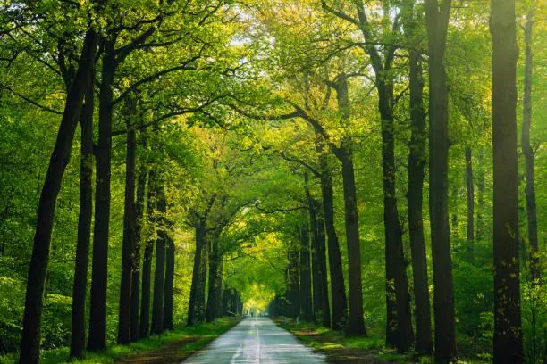 Wanderlust Calling: 20 Scenic Places in Photos, wanderlust photos, scenic travel, nature, landscape, travel dreams, nature views