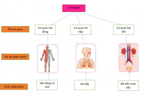 2. Xử lí tình huống