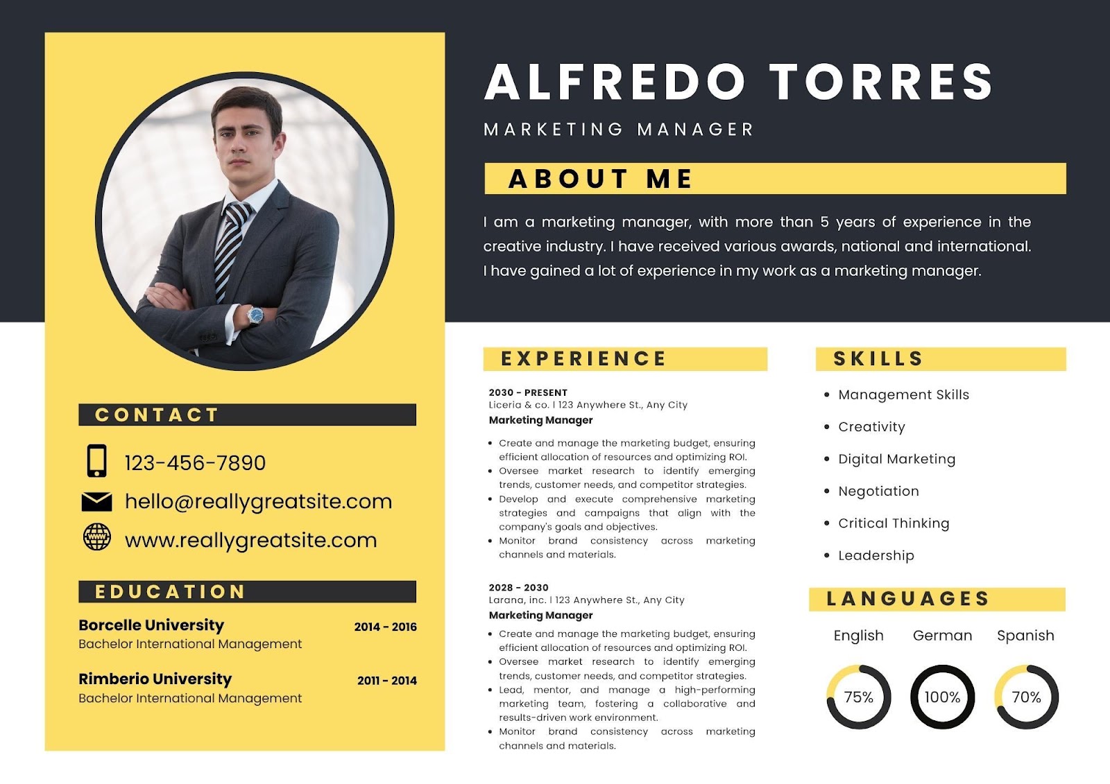 Modern Resume Sample Ideas - professional