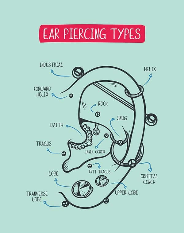 Photo of an ear piercing chart