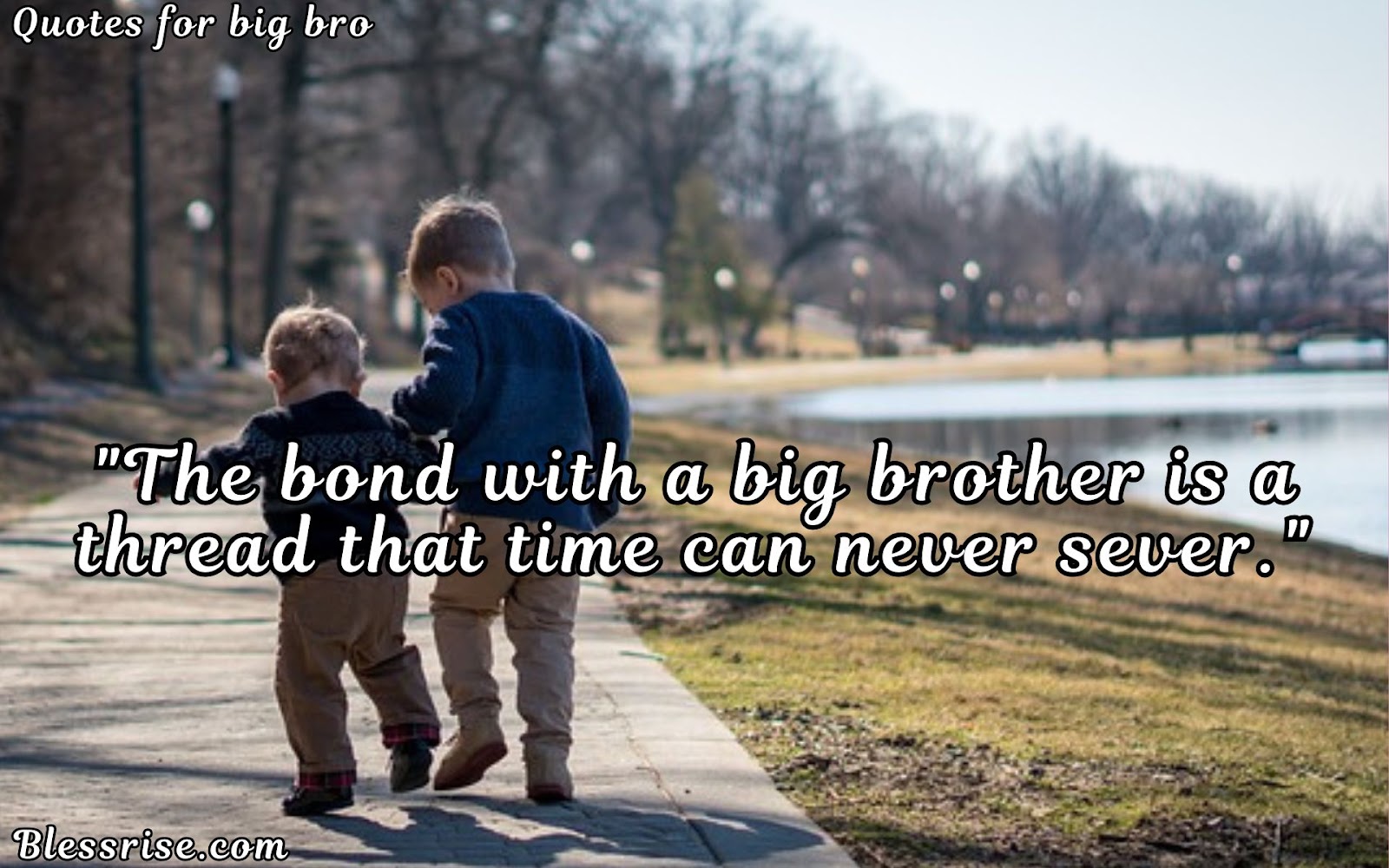 Brotherly love quotes
