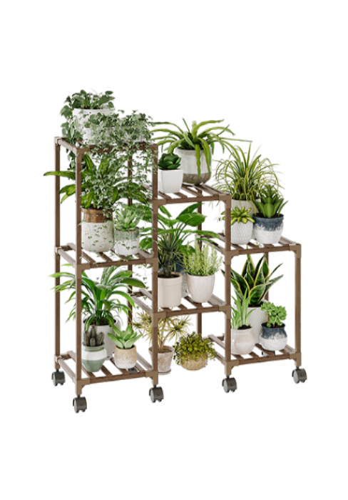 Indoor Plants for Arizona's Desert Climate