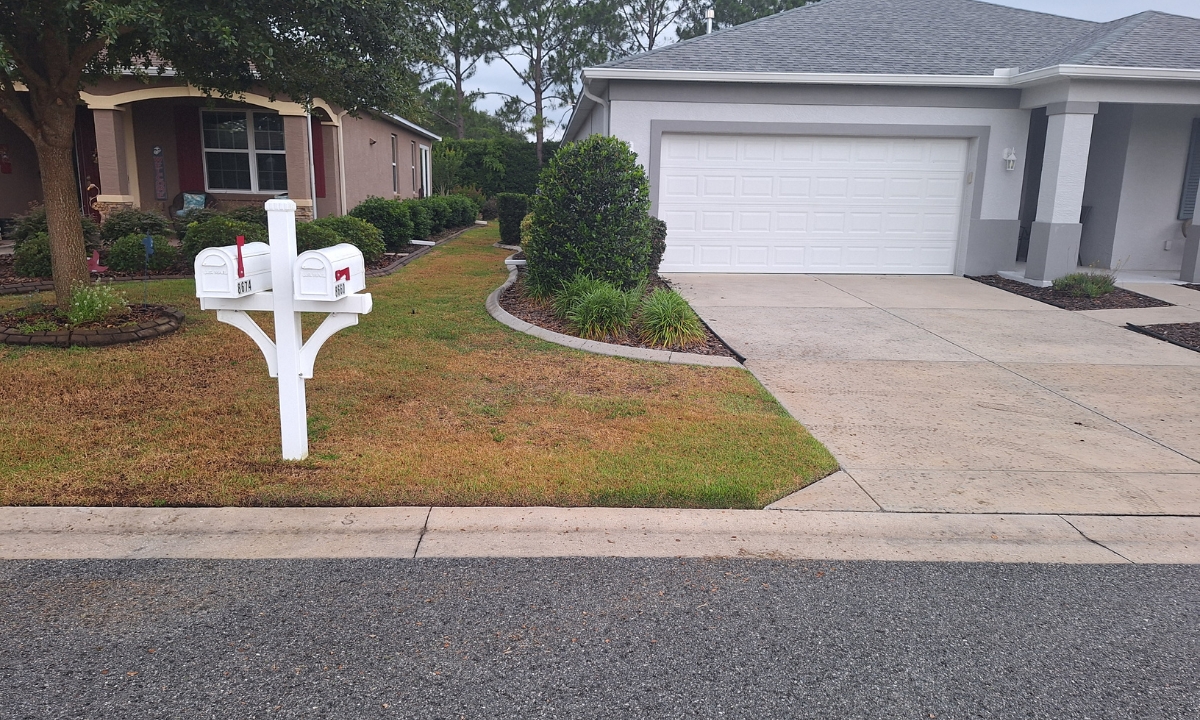 Weed Control: A Chemical-Free Approach