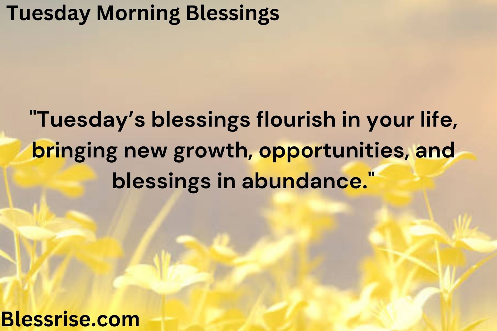 Blessed Tuesday Greetings