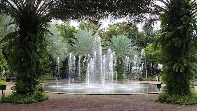 tempat baca buku di jakarta ruang terbuka