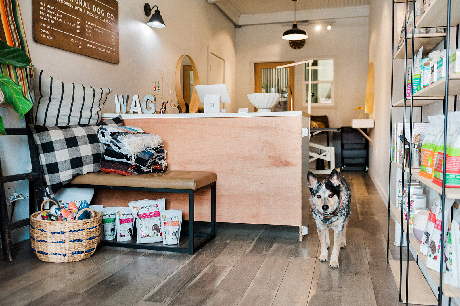 Napa Natural Dog Co.'s reception area. Photo via Napa Natural Dog Co.