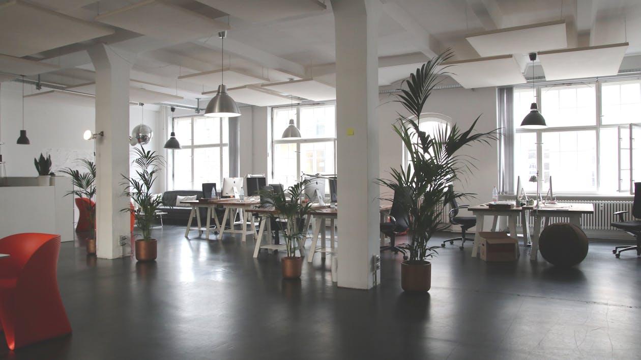 Free Spacious modern office interior with desks, plants, and natural lighting in Berlin. Stock Photo