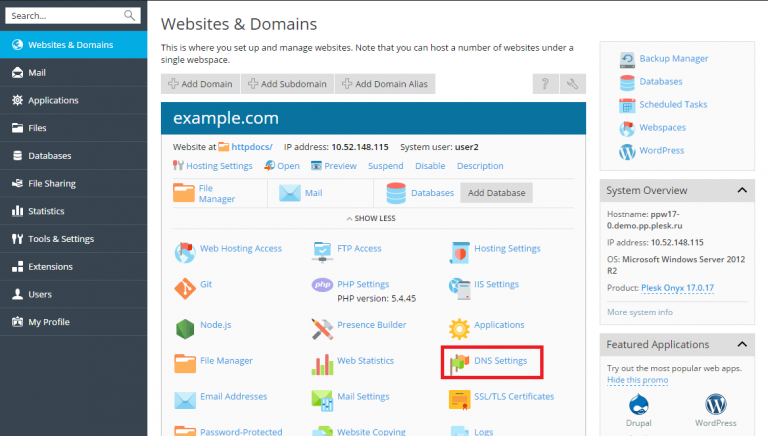 DNS Settings