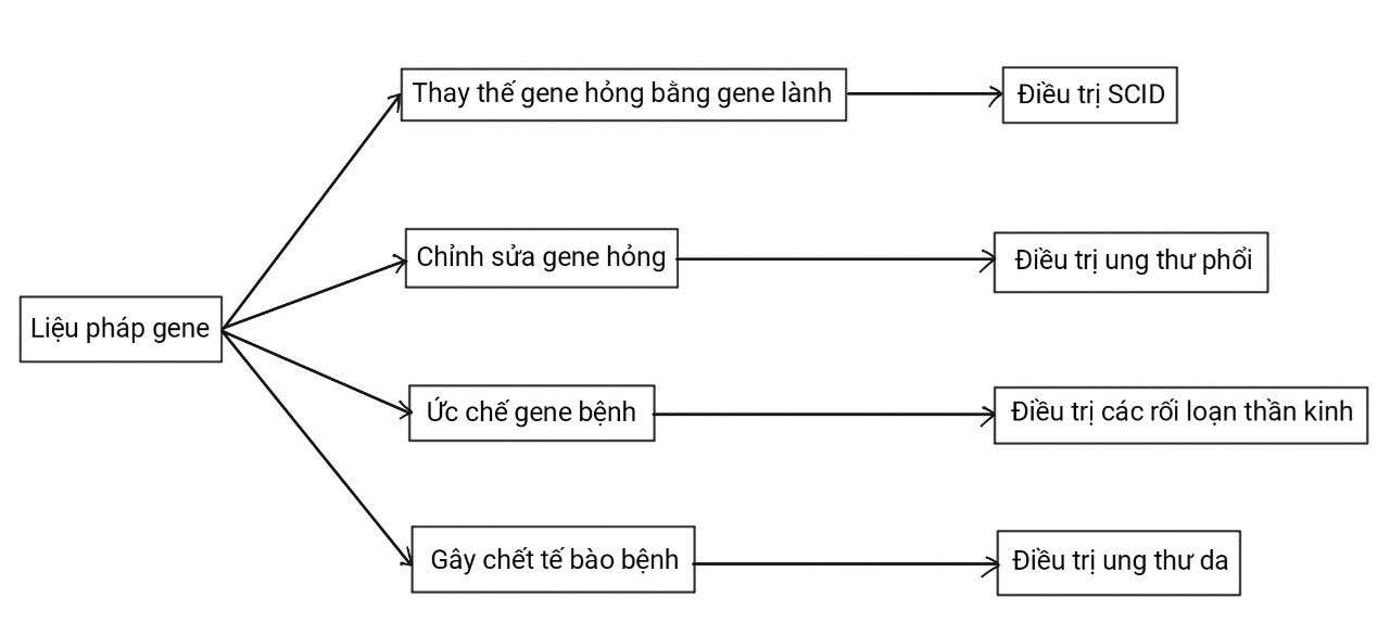 BÀI 14. DI TRUYỀN HỌC NGƯỜI