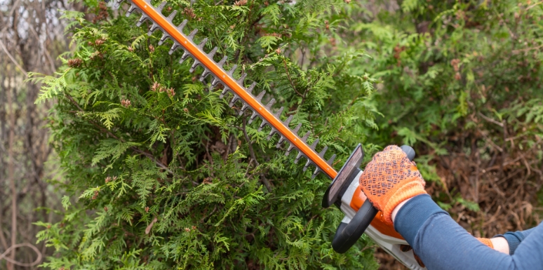 best tree trimming services in McKinney