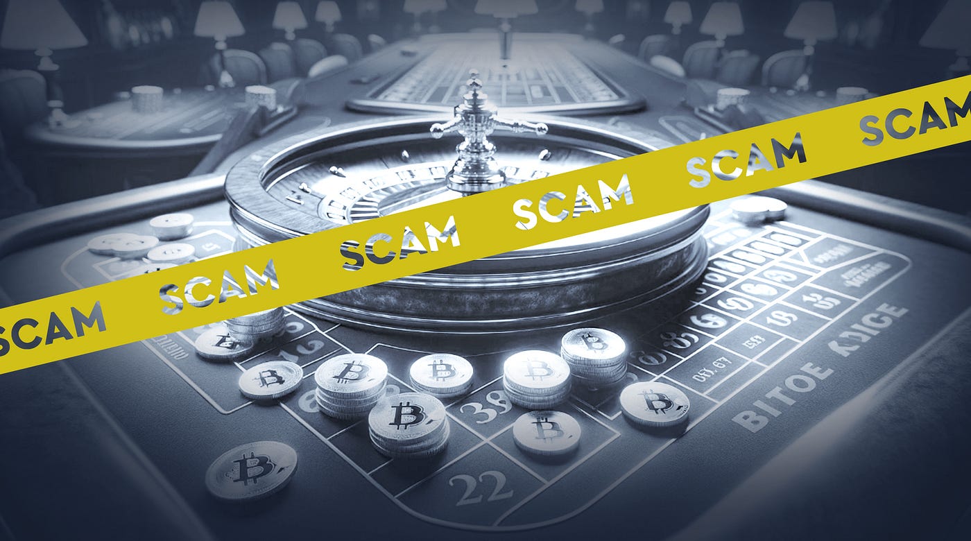 ZKasino crypto fraud investigation