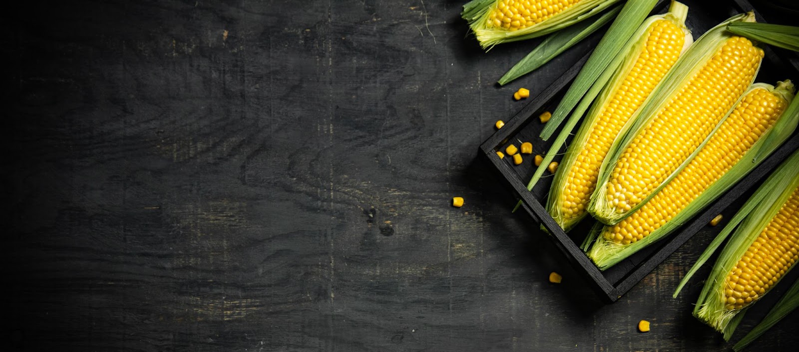 sweet corn background black colour