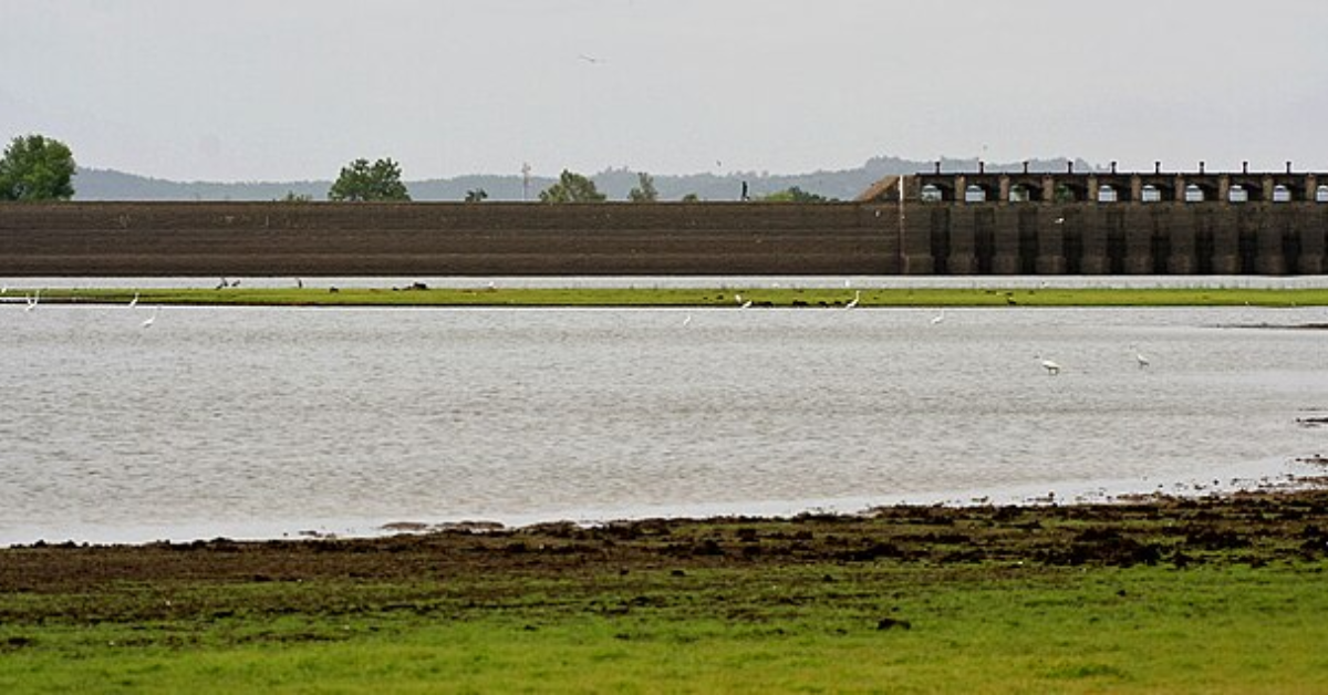 Pocharam Lake view and camping place
