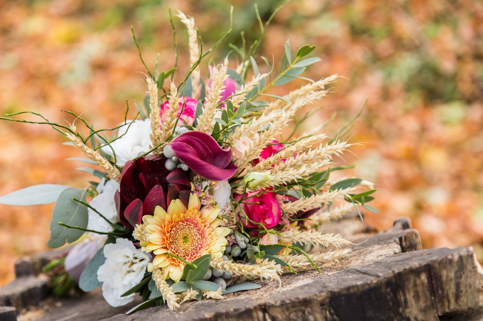 flower bouquet arrangement