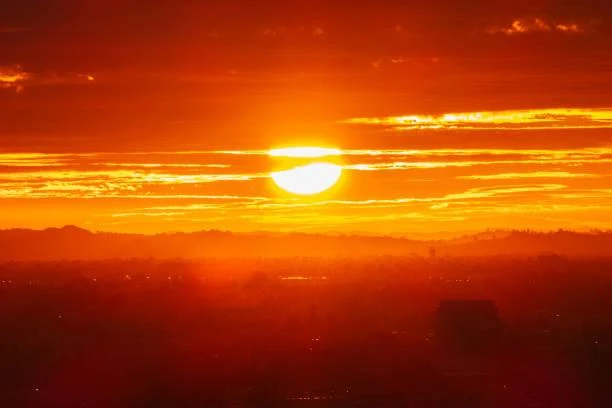 12 Sunset Hills Reflecting Golden Light, golden hills, evening shine, nature, forest, landscape, sunset slope, warm glow