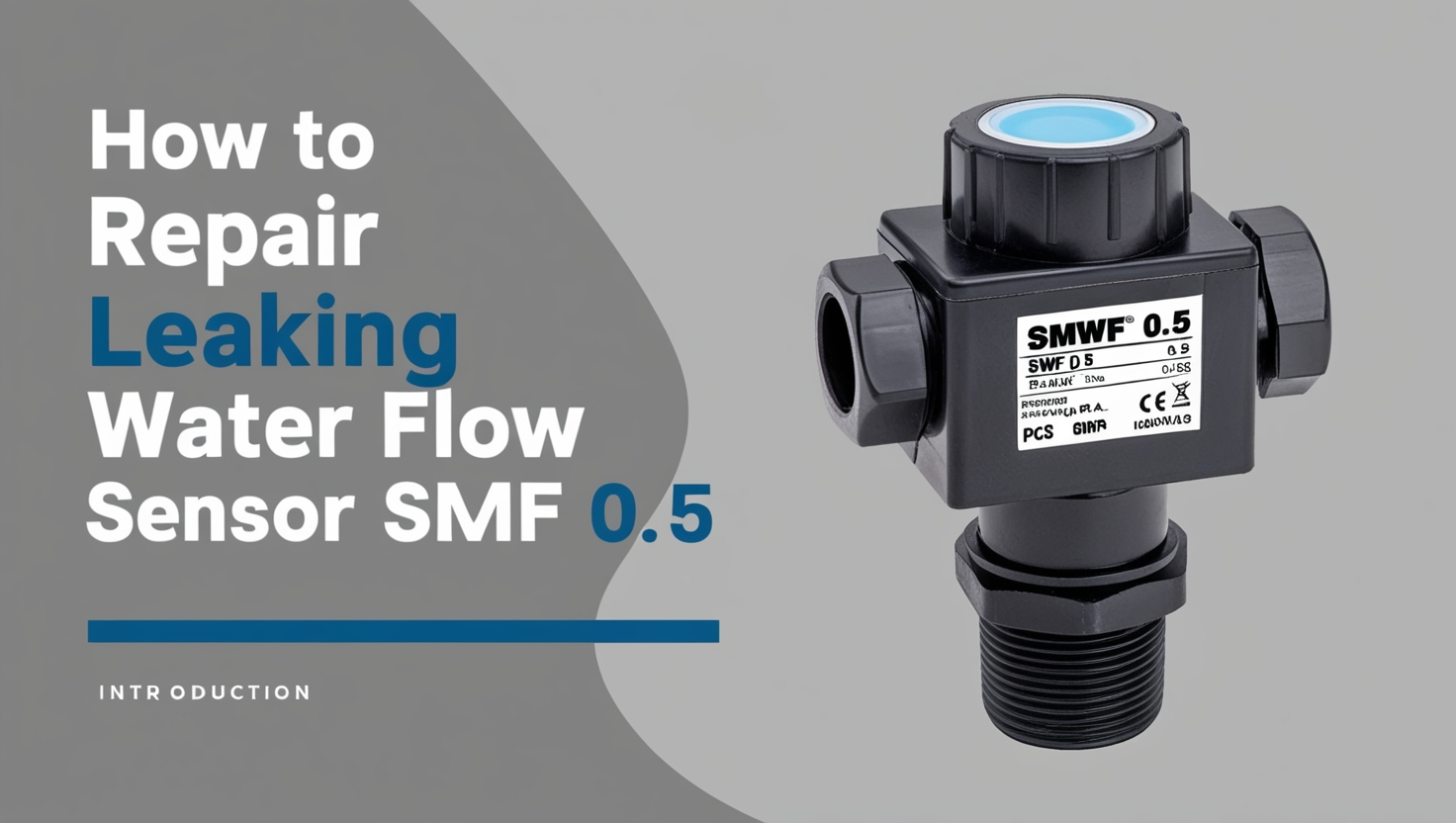 Repair Leaking Water Flow Sensor SMWF 0.5
