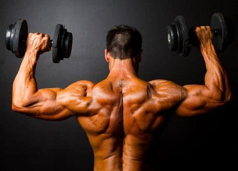 dumbbell shoulder routine