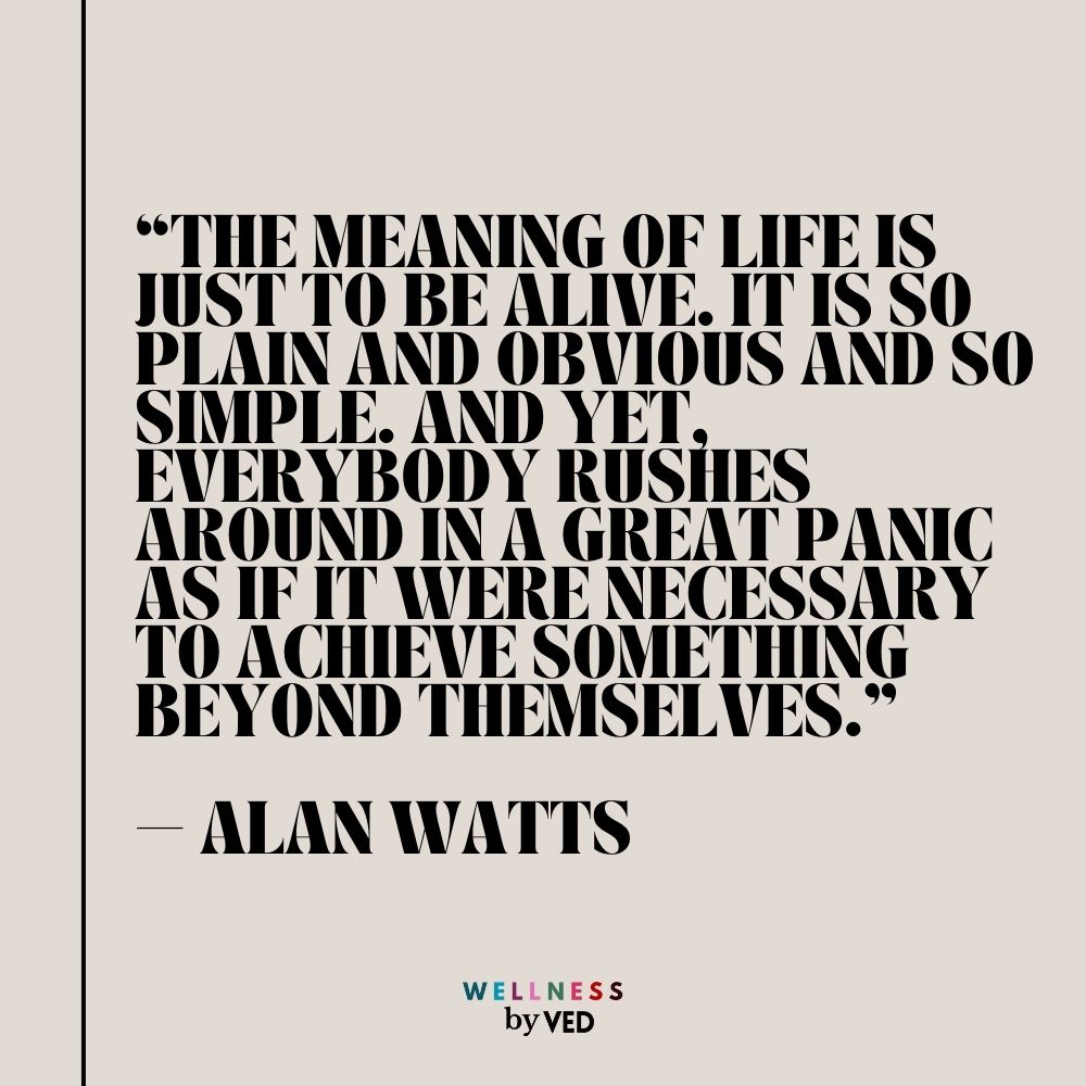 Alan Watts quotes 