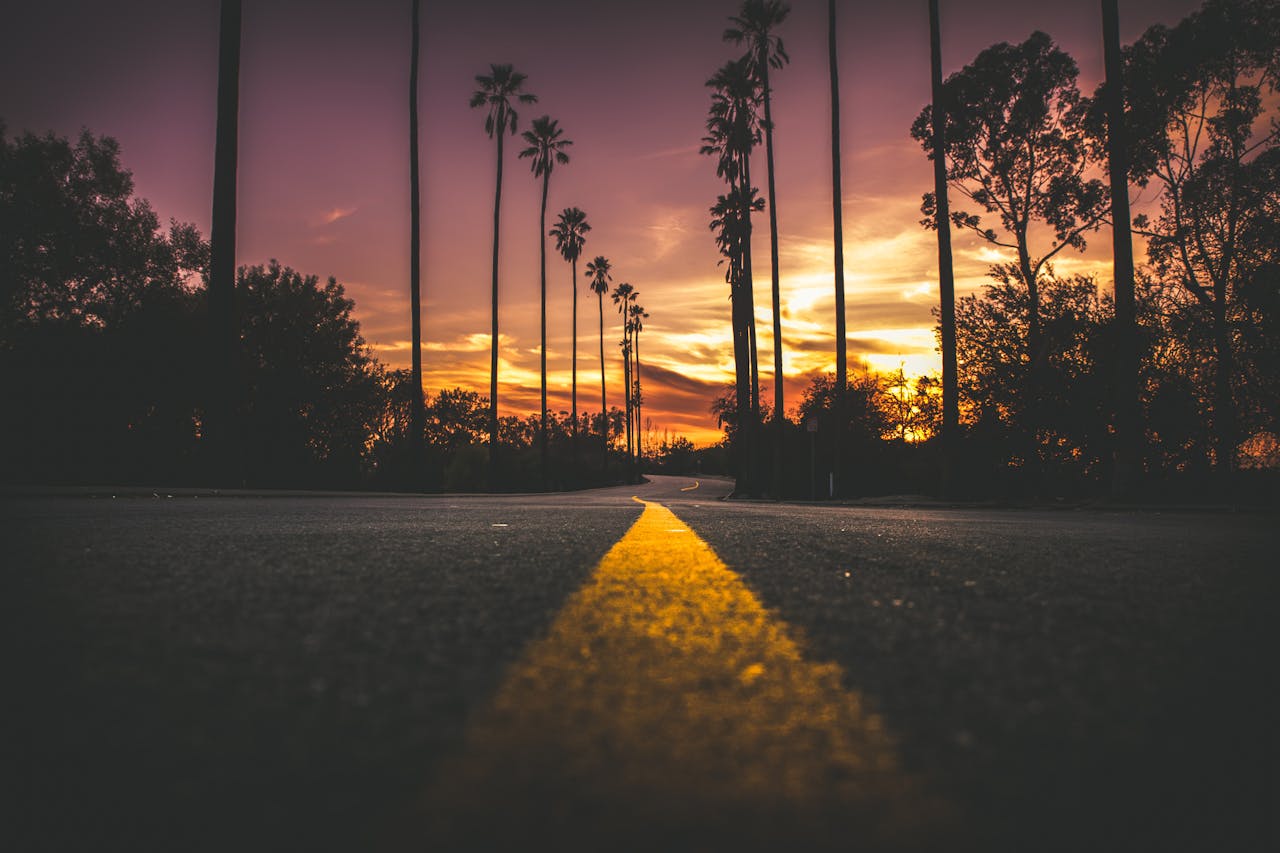 A scenic road lined with palm trees, bathed in the warm glow of a stunning sunset in the background.