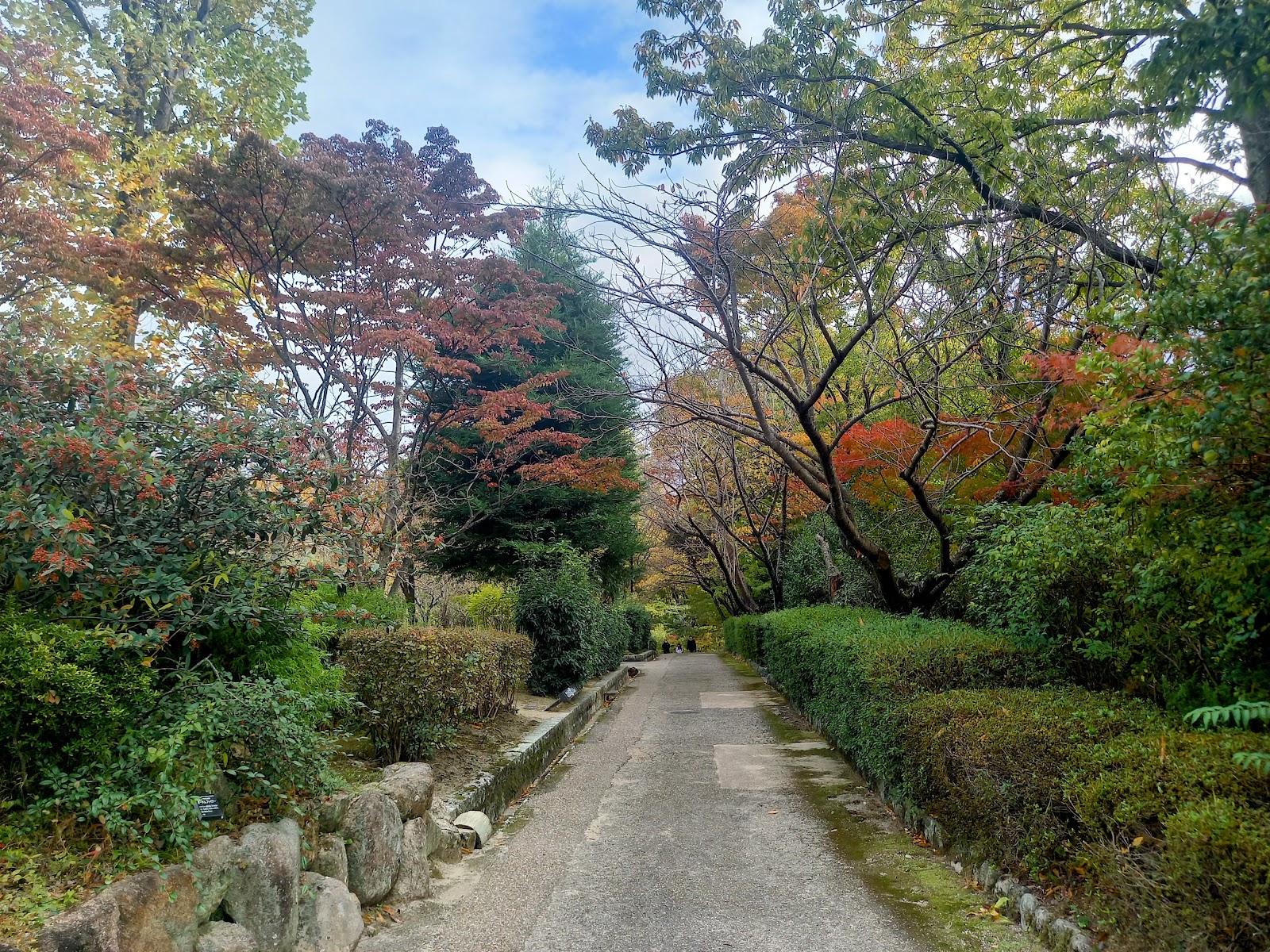 通路の左右に木々がある園内の様子。