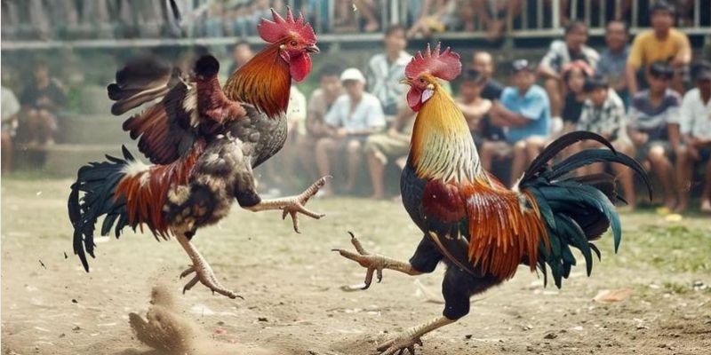 Một vài vấn đề mà người xem cần chú ý tại Bet88