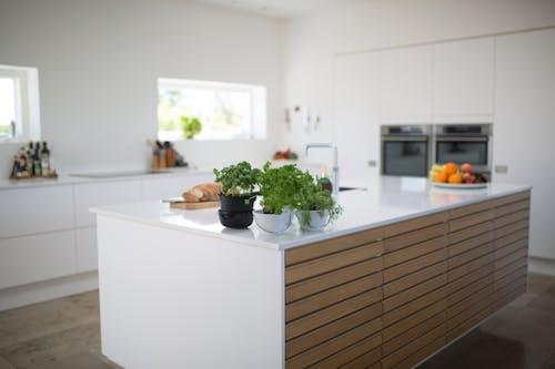 Free Spacious, light-filled kitchen with modern design and fresh herbs on the counter. Stock Photo