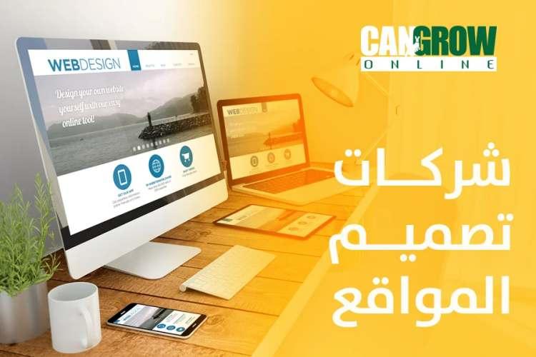 شركات تطوير مواقع إلكترونية في مصر

