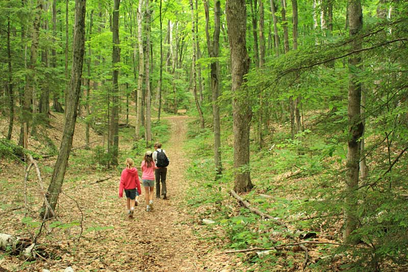 Remote lakeside trail in Leelanau State Park.