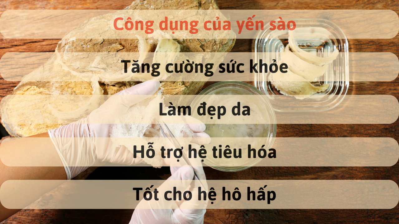 Đông trùng hạ thảo thiên phúc