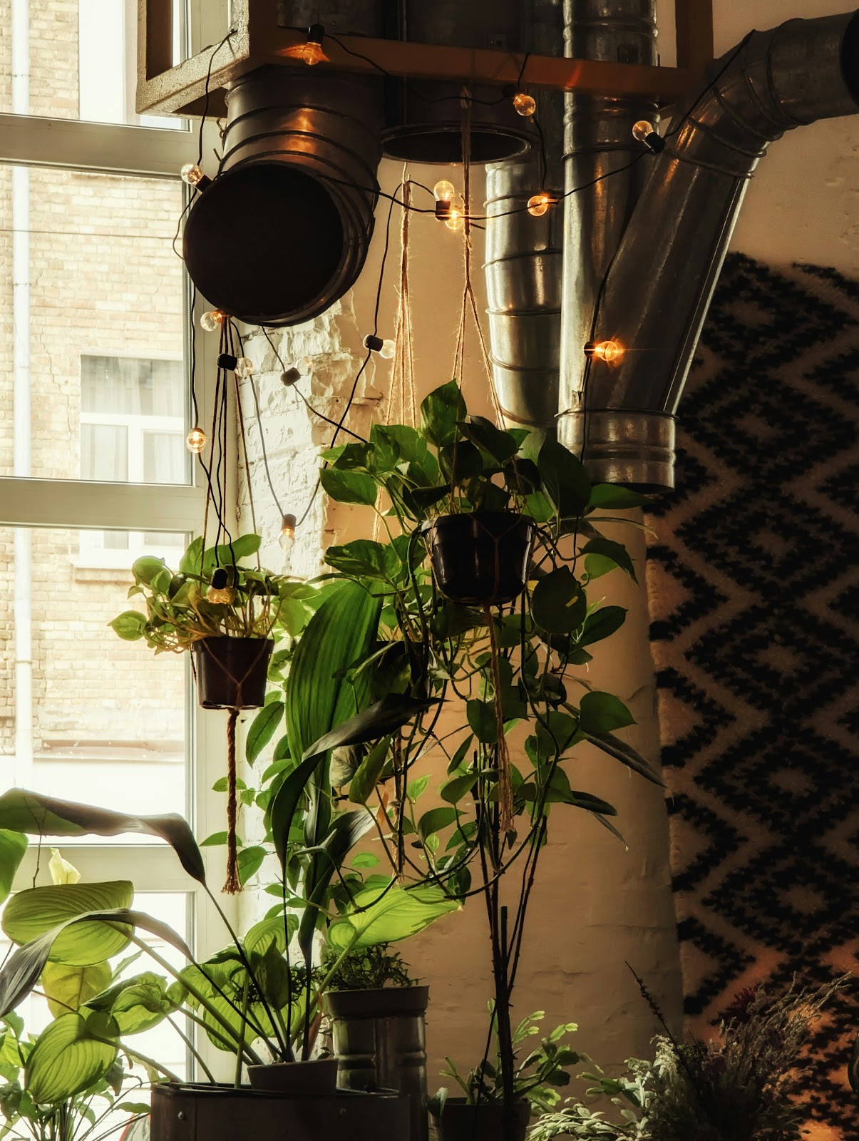 Decorative apartment with art and indoor plants for interiors