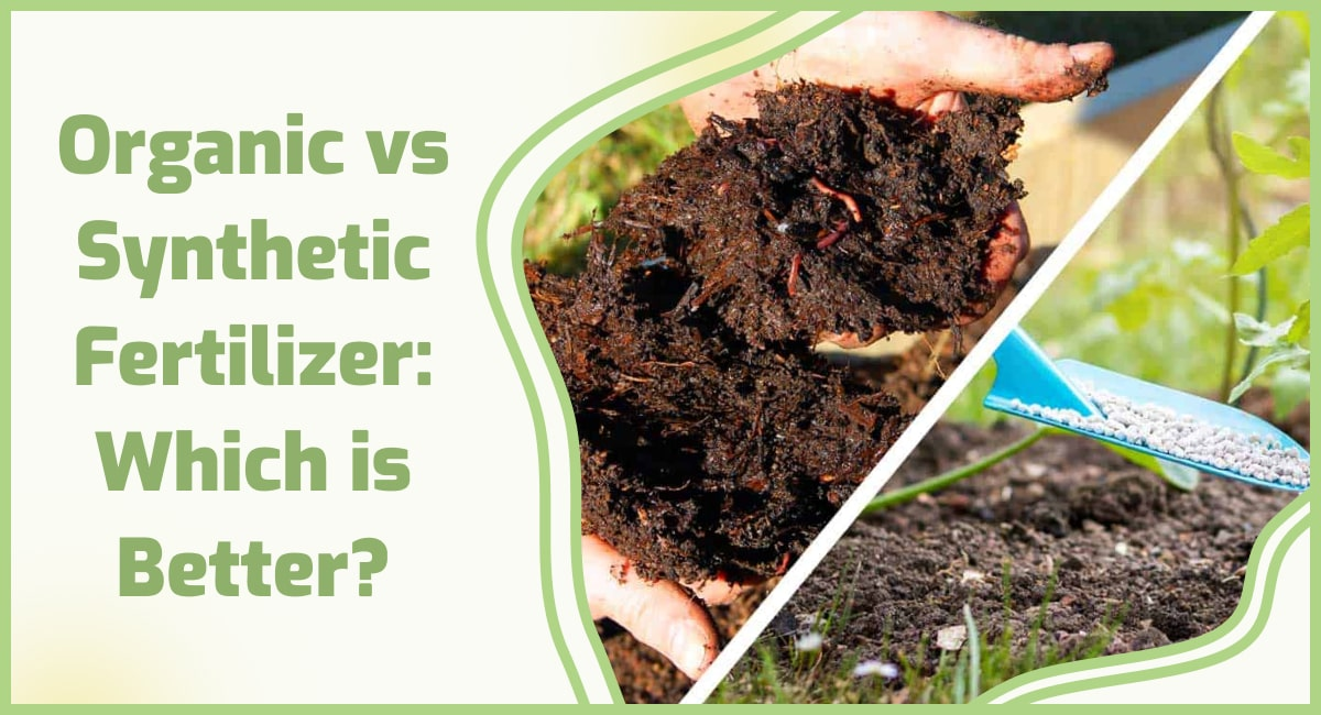 Types of Organic Grass Fertilizers