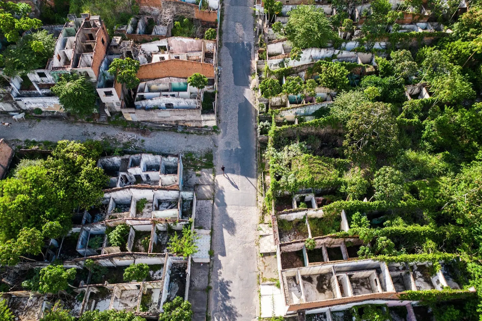 Entre o sal e as rachaduras: a tragédia socioambiental da Braskem