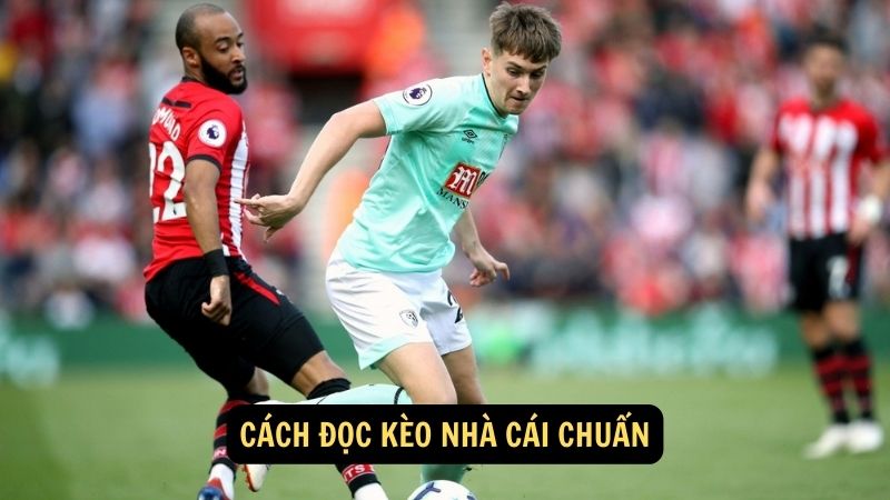 Cách đọc kèo nhà cái chuẩn