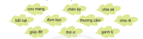 BÀI 8: CÂY TRÁI TRONG VƯỜN BÁC