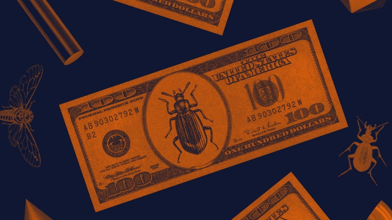 Phần thưởng của Bug Bounty