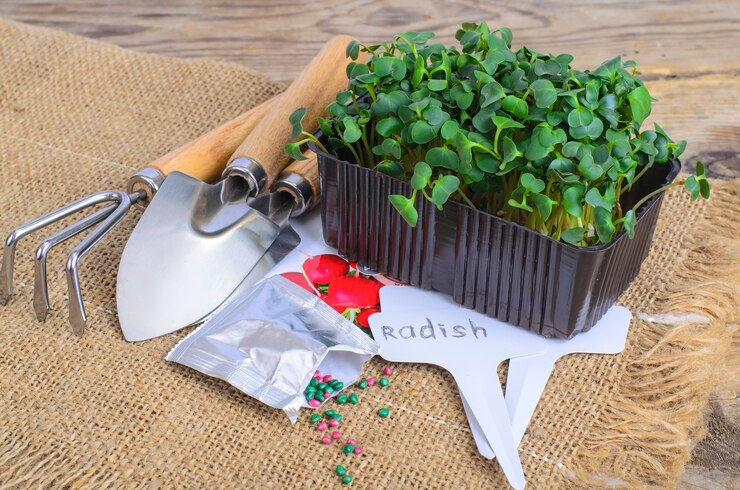 DIY Herb Garden Kit