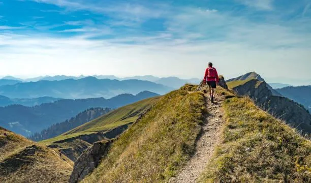 From Mountains to Forests: 20 Stunning Vistas, mountain photos, forest landscapes, nature, landscape, nature variety, wide scenery