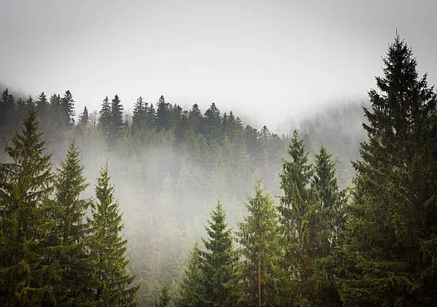 25 Nature Moments That Deserve a Second Look, remarkable nature, photo moments, nature, landscape, natural magic, scenic impact