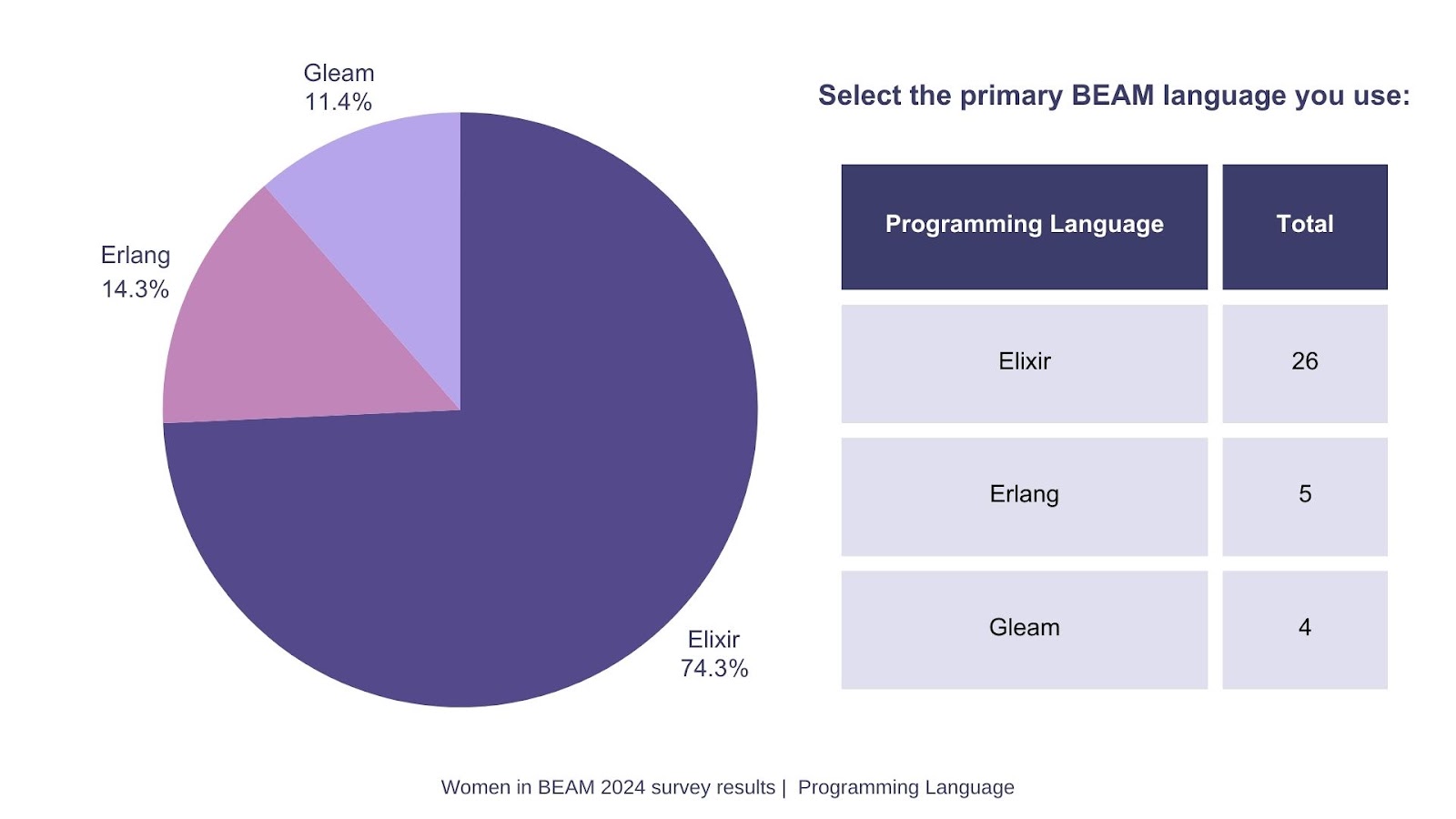 Women in BEAM survey results, Programming Language