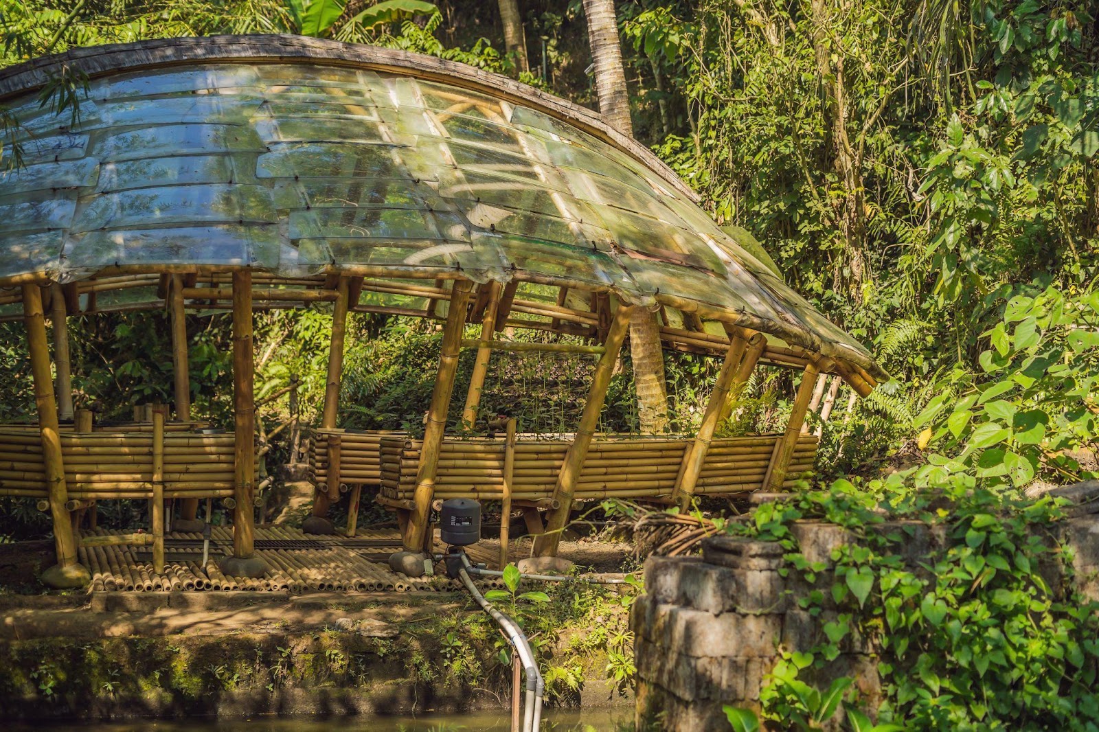 luxury experiences in the Amazon rainforest