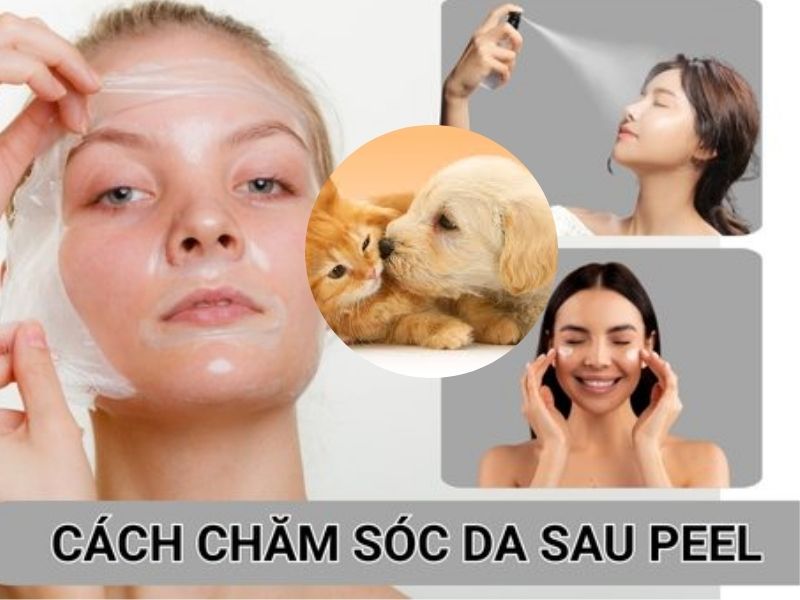 Cách chăm sóc da sau peel da dành cho người nuôi thú cưng 1