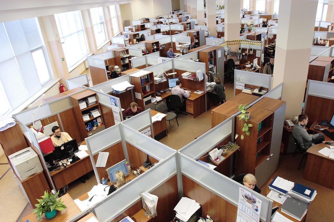 An office with multiple cubicles and employees working at their desks.