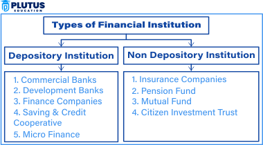 Financial institution examples