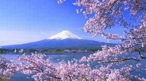 Tokyo Odawara Castle Sakura Viewing, Hakone Pirate Ship & Lake Kawaguchi  Day Tour with Lunch - Klook Việt Nam