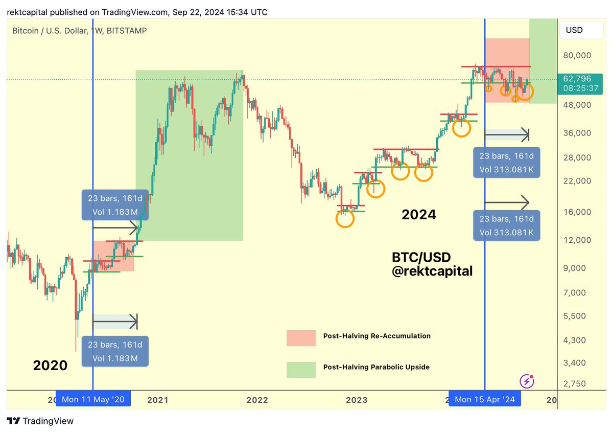 Bitcoin 161 giorni dopo l'halving (Rekt Capital)